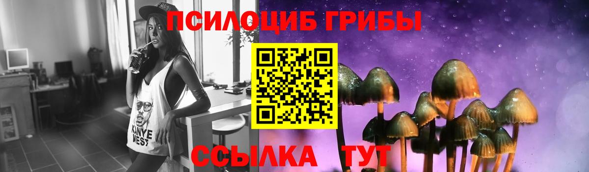Псилоцибиновые грибы Psilocybe Качканар